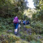 2024-10 - Népal - J05 - De Ghandruk à Tadapani - 133